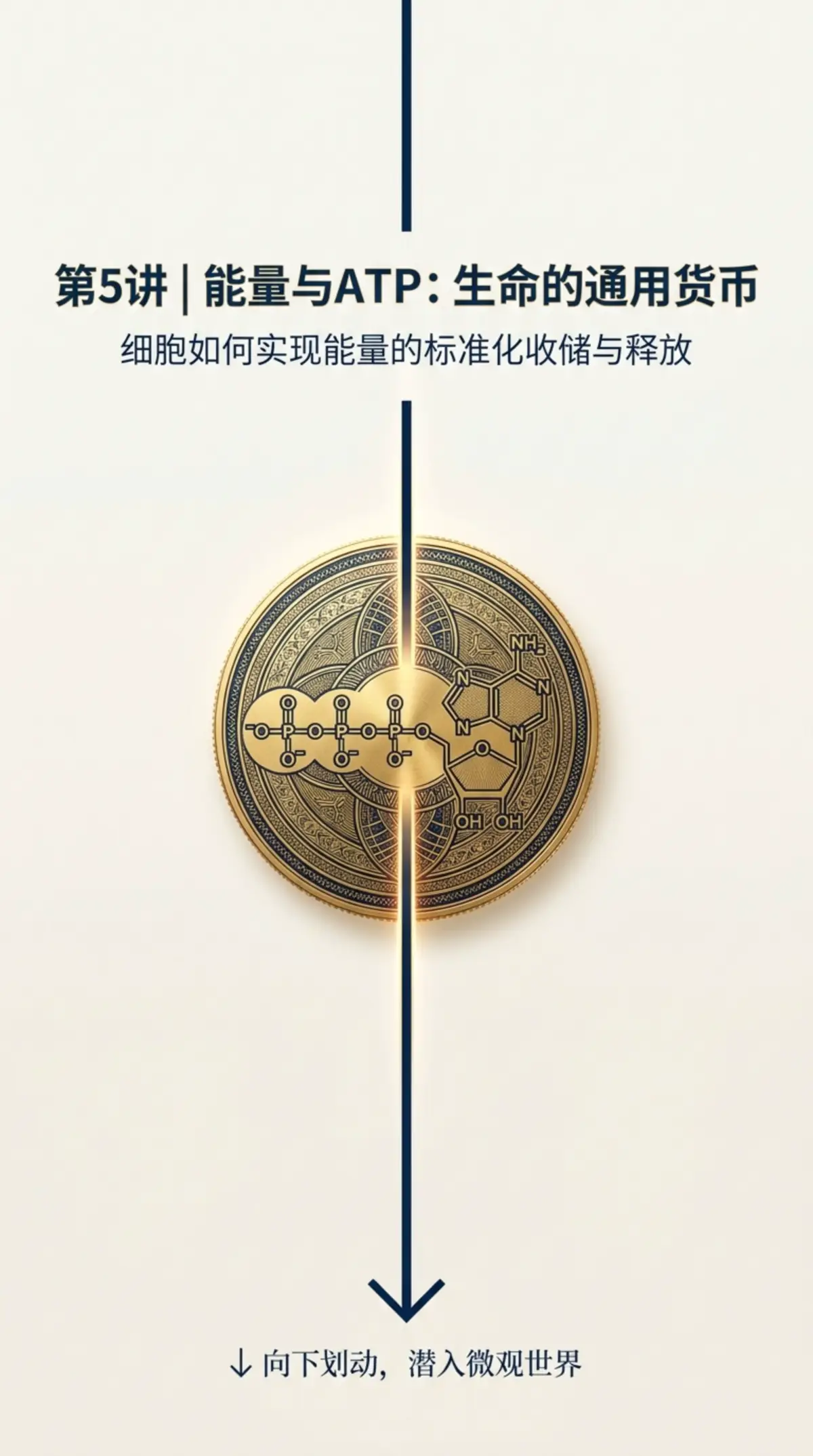 ATP currency